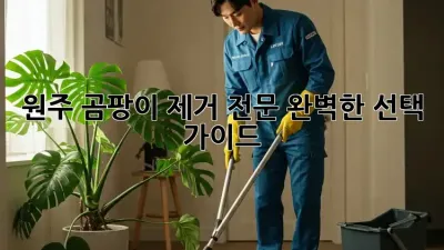 원주 곰팡이 제거 전문: 완벽한 선택 가이드