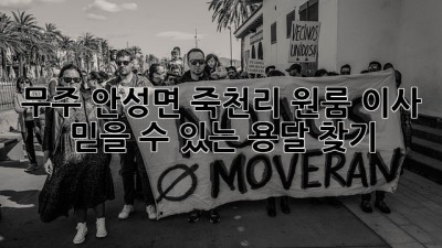 무주 안성면 죽천리 원룸 이사, 믿을 수 있는 용달 찾기