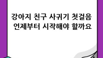 우리 강아지, 친구 사귈 수 있을까요?🐶 사회화 훈련 완벽 가이드